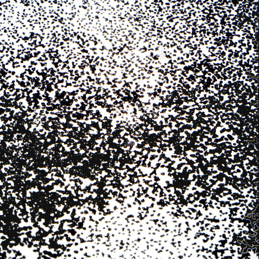 Appareil photo argentique - logo noir et blanc grain d'un film argentique